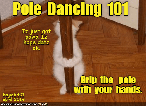Pole Dancing Images Funny