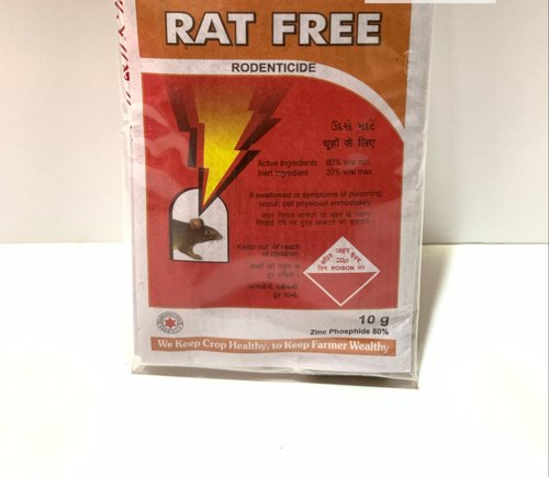Rat Pictures Free