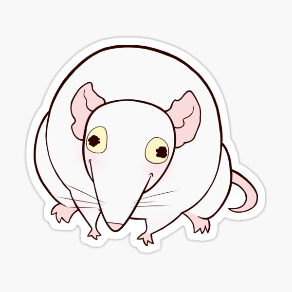 Ratten Junge