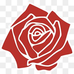 Red Rose Vector Png