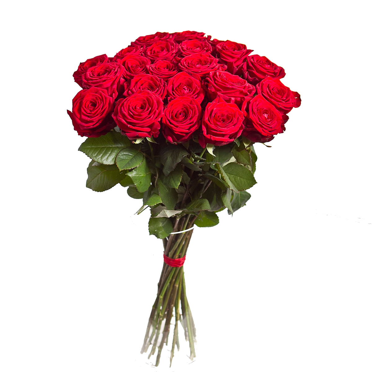 Rose Bouquet Png