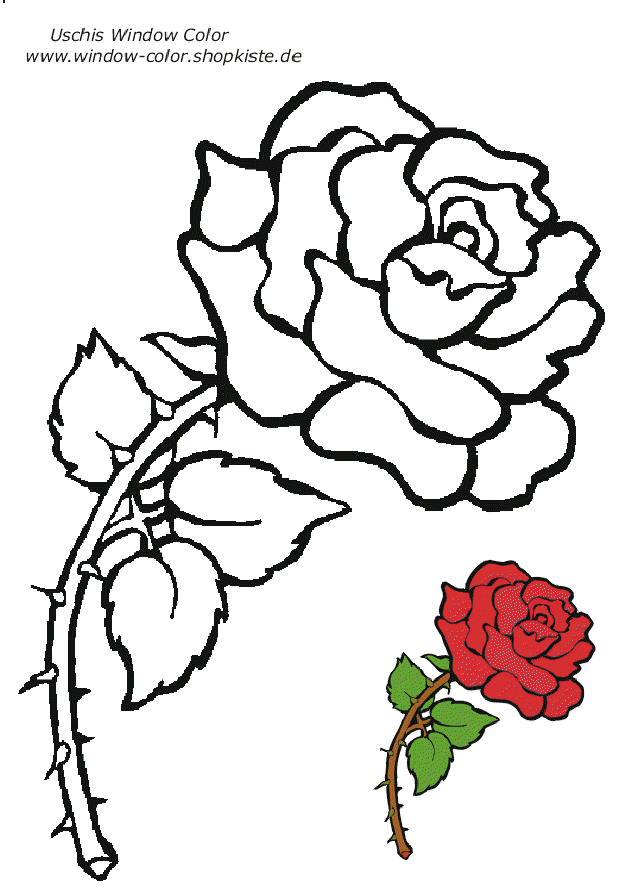 Rose Zeichnung Vorlage