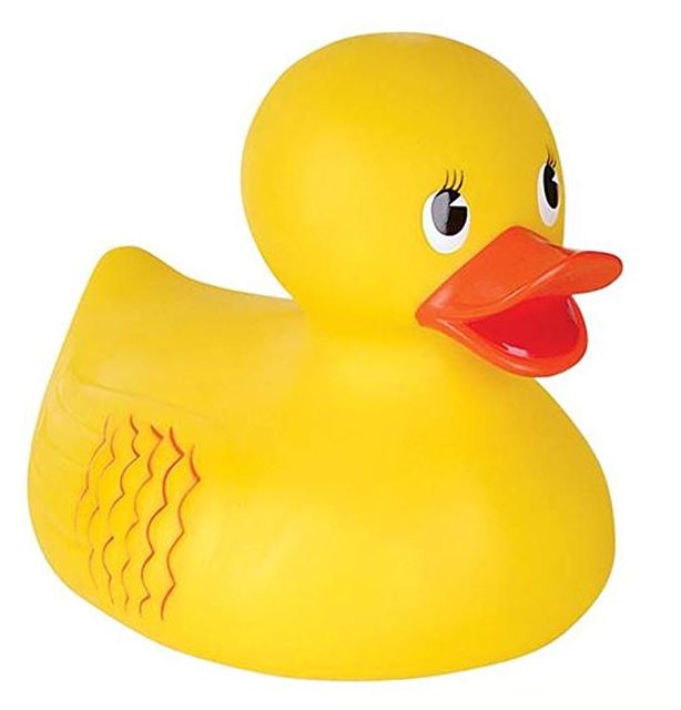 Rubber Duckie Images