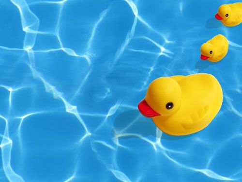 Rubber Ducky Background