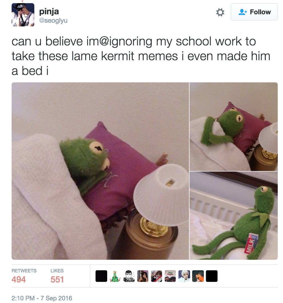 Sad Kermit Meme