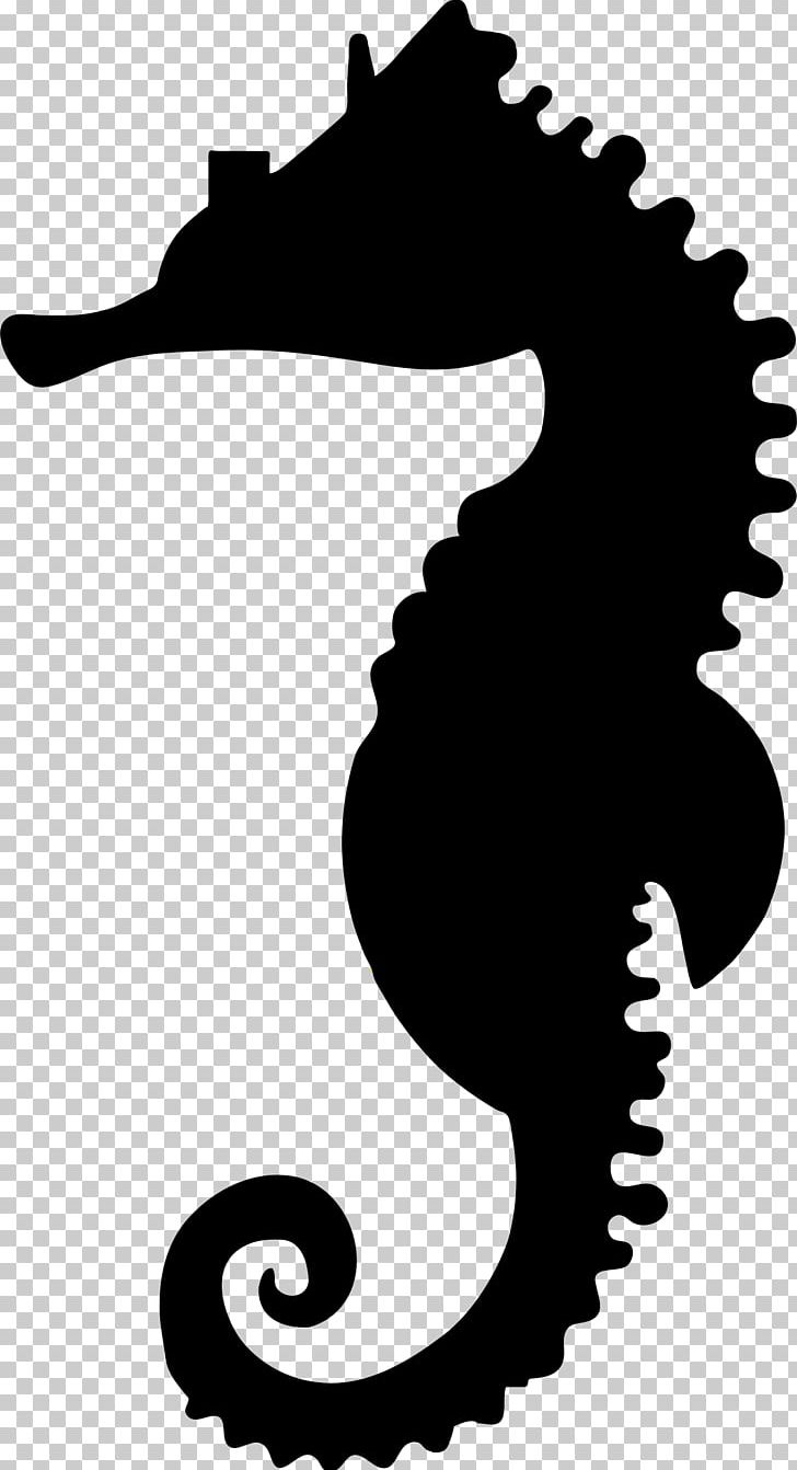 Seahorse Silhouette Png