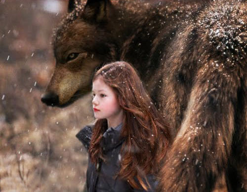 Serigala Di Twilight