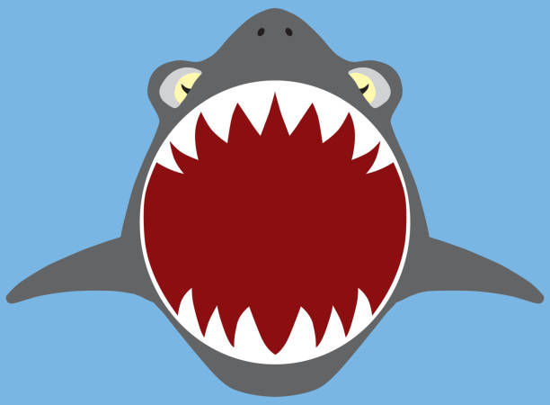 Shark Open Mouth Clipart