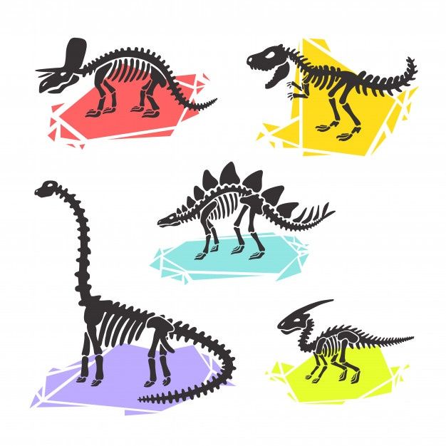 Skelett Dinosaurier