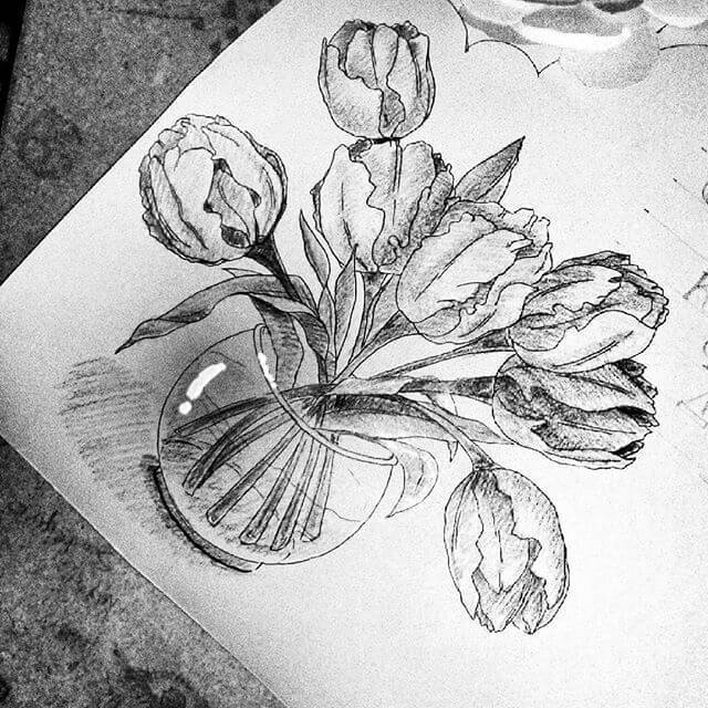 Sketsa Gambar Bunga Mawar Tulipanggek Bunga Sepatuteratai