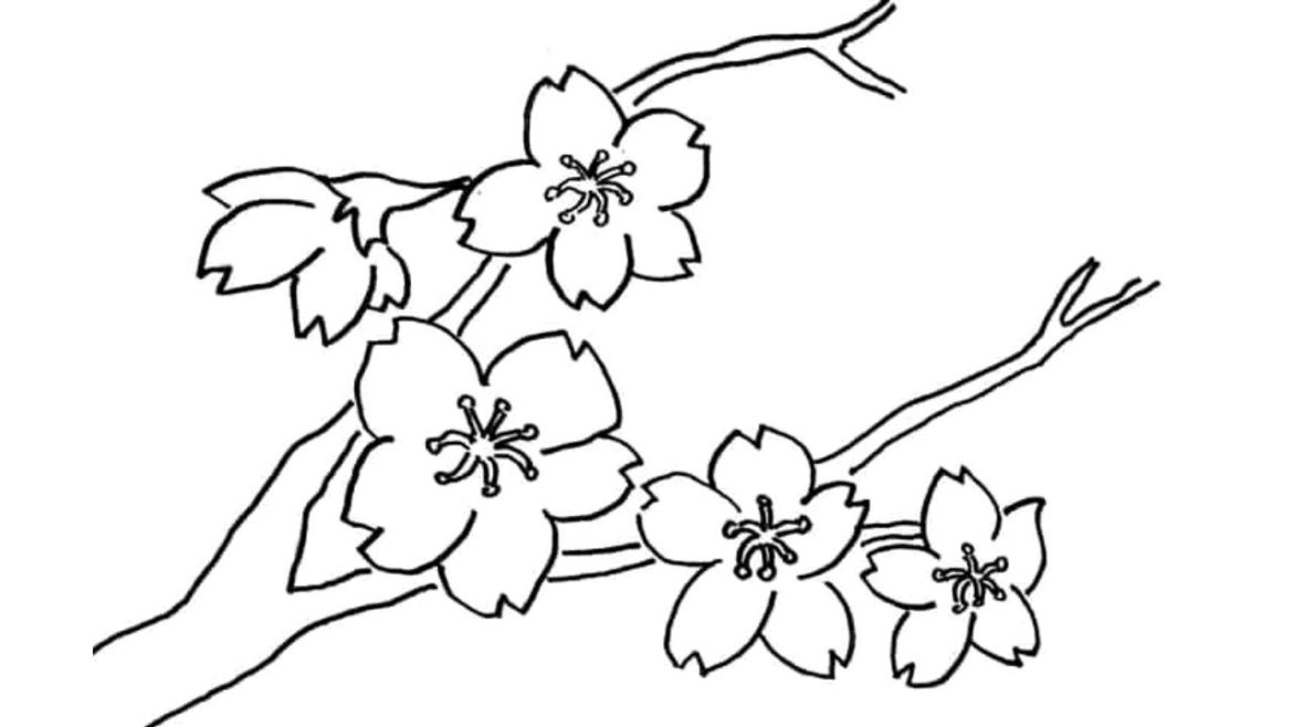 Sketsa Gambar Bunga Yang Mudah Digambar