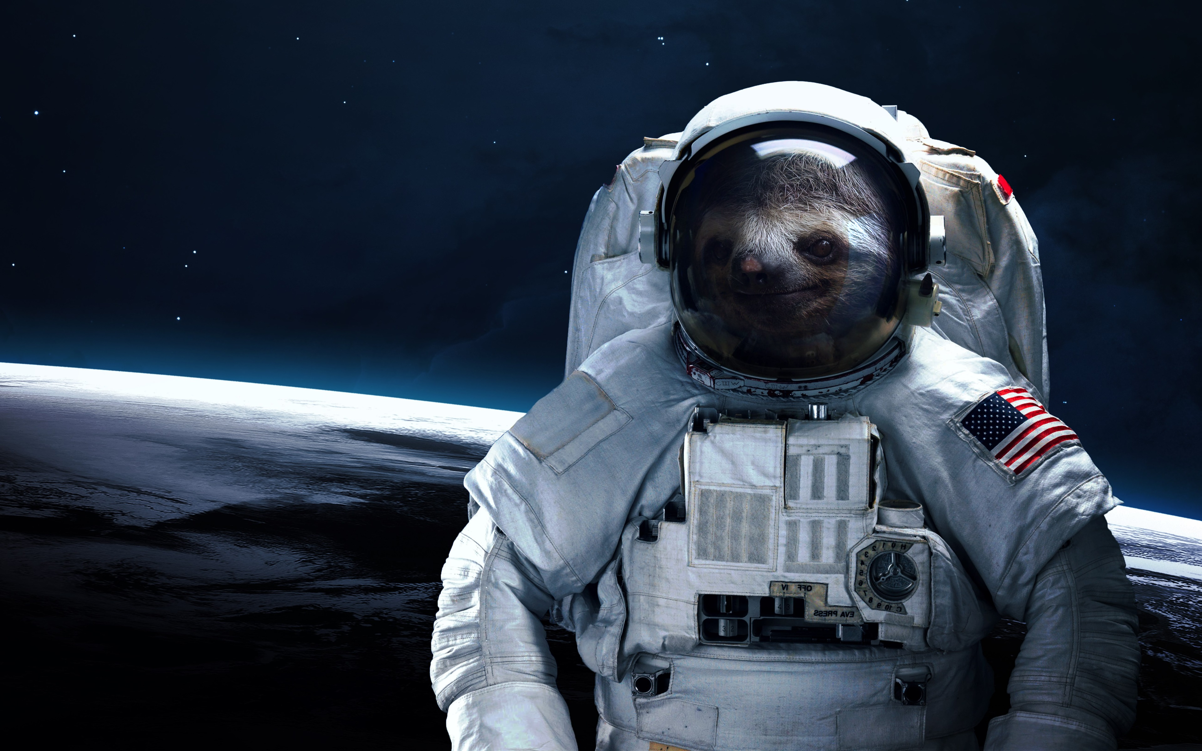 Sloth Astronaut Wallpaper