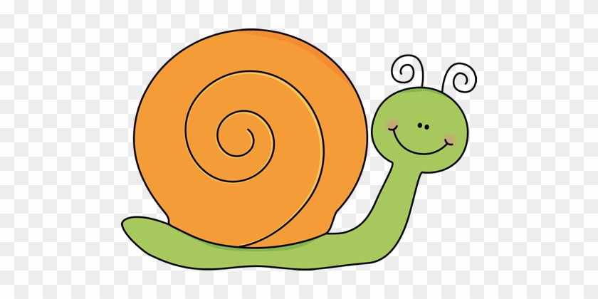 Snail Transparent