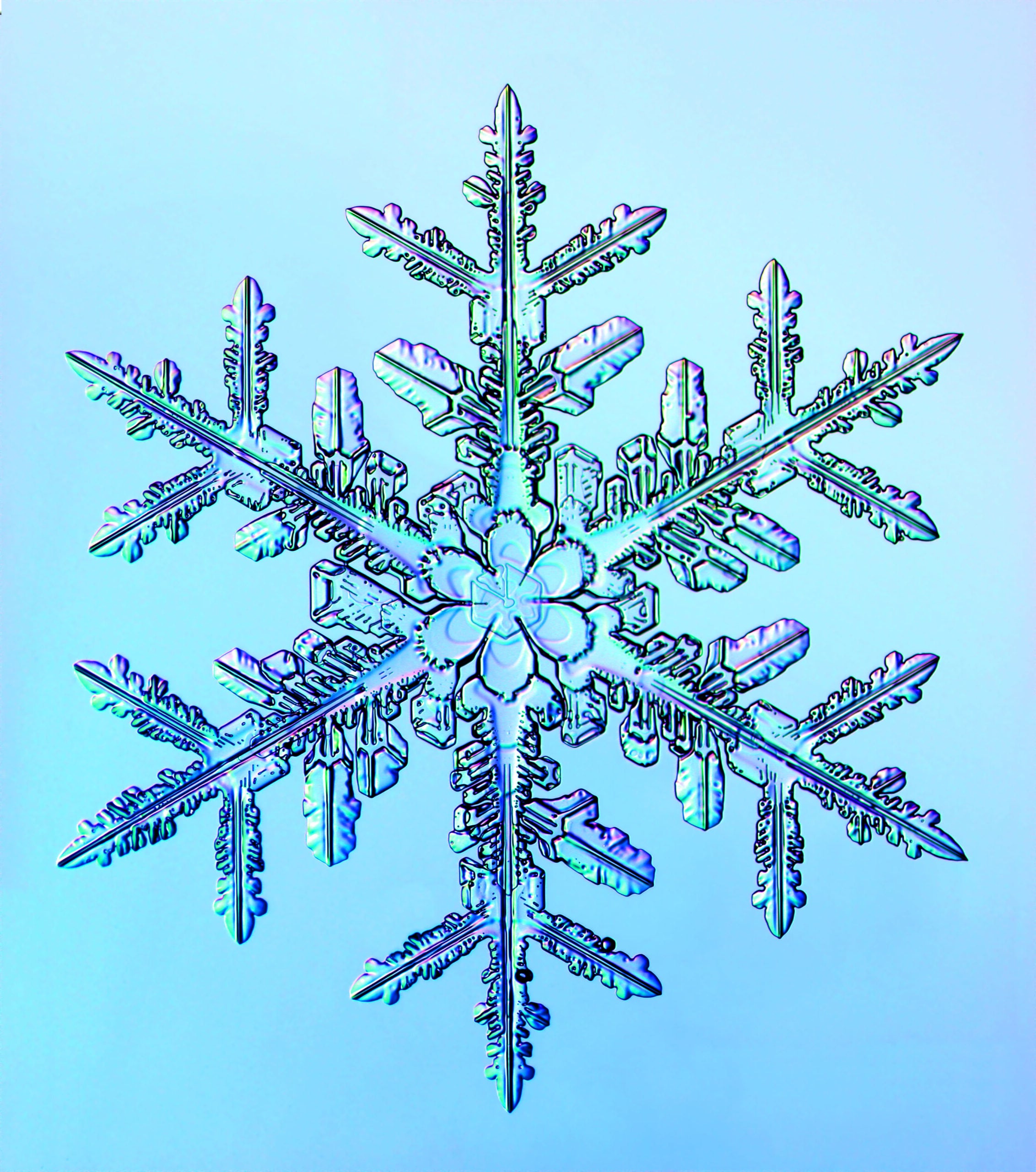 Snowflakes Image