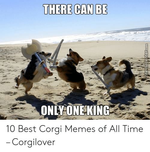 There Can Be Only One Meme