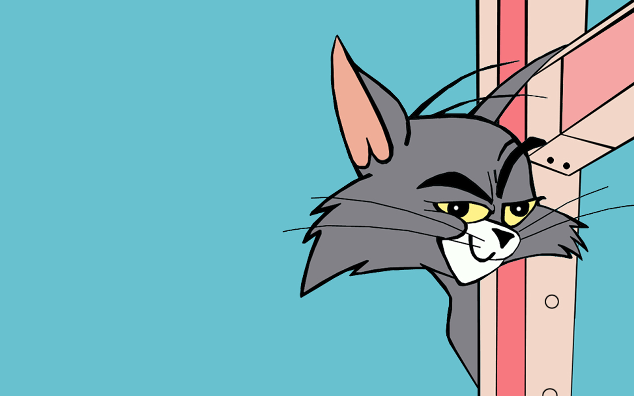 Tom And Jerry Funny Face
