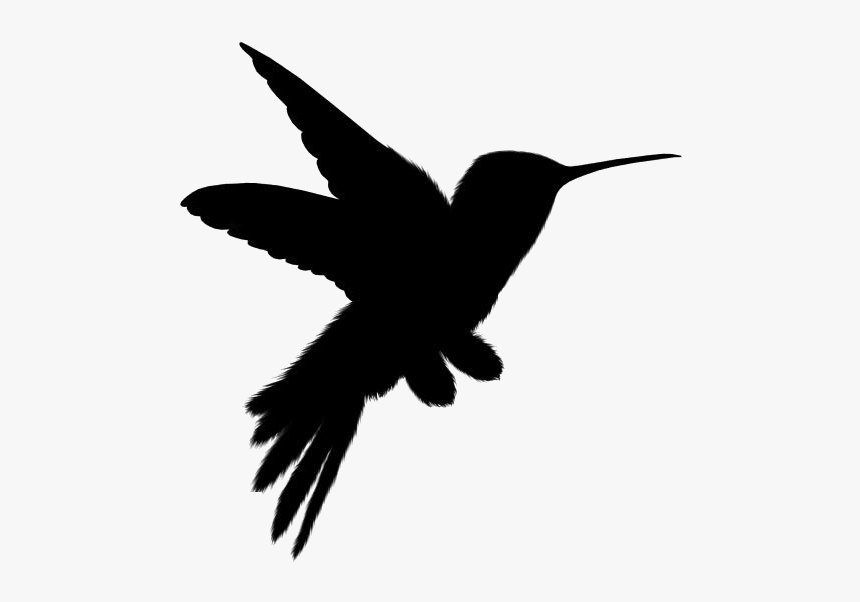 Transparent Black Hummingbird