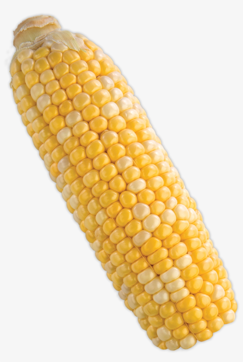 Transparent Corn