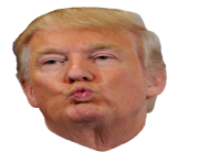 Trump Face Clipart