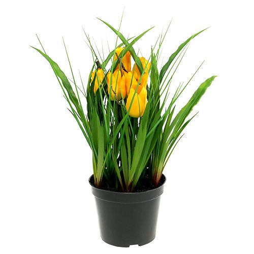 Tulpen Und Hyazinthen In Einer Vase