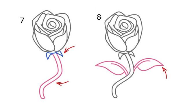 Tutorial Menggambar Bunga Mawar