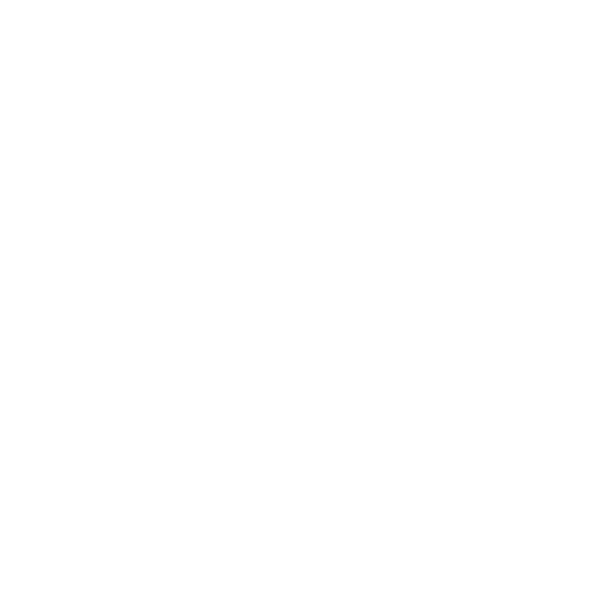 Twitter Logo Png White