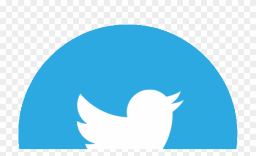 Twitter Logo Transparent Png