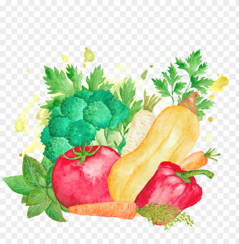 Vegetables Transparent Background