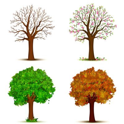 Vier Jahreszeiten Baum Zeichnung