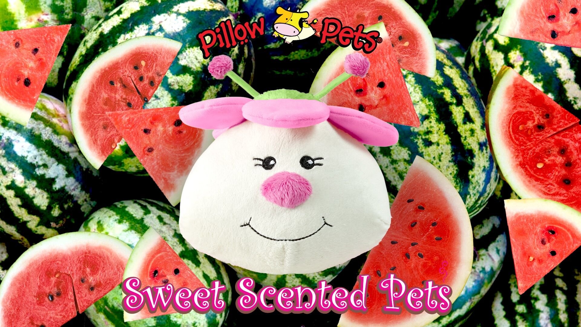 Watermelon Ladybug Pillow Pet