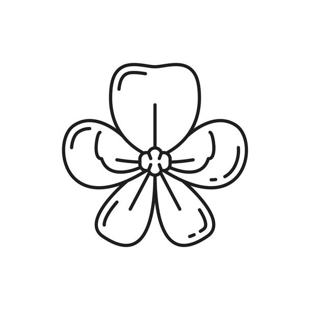 White Flower Thailand