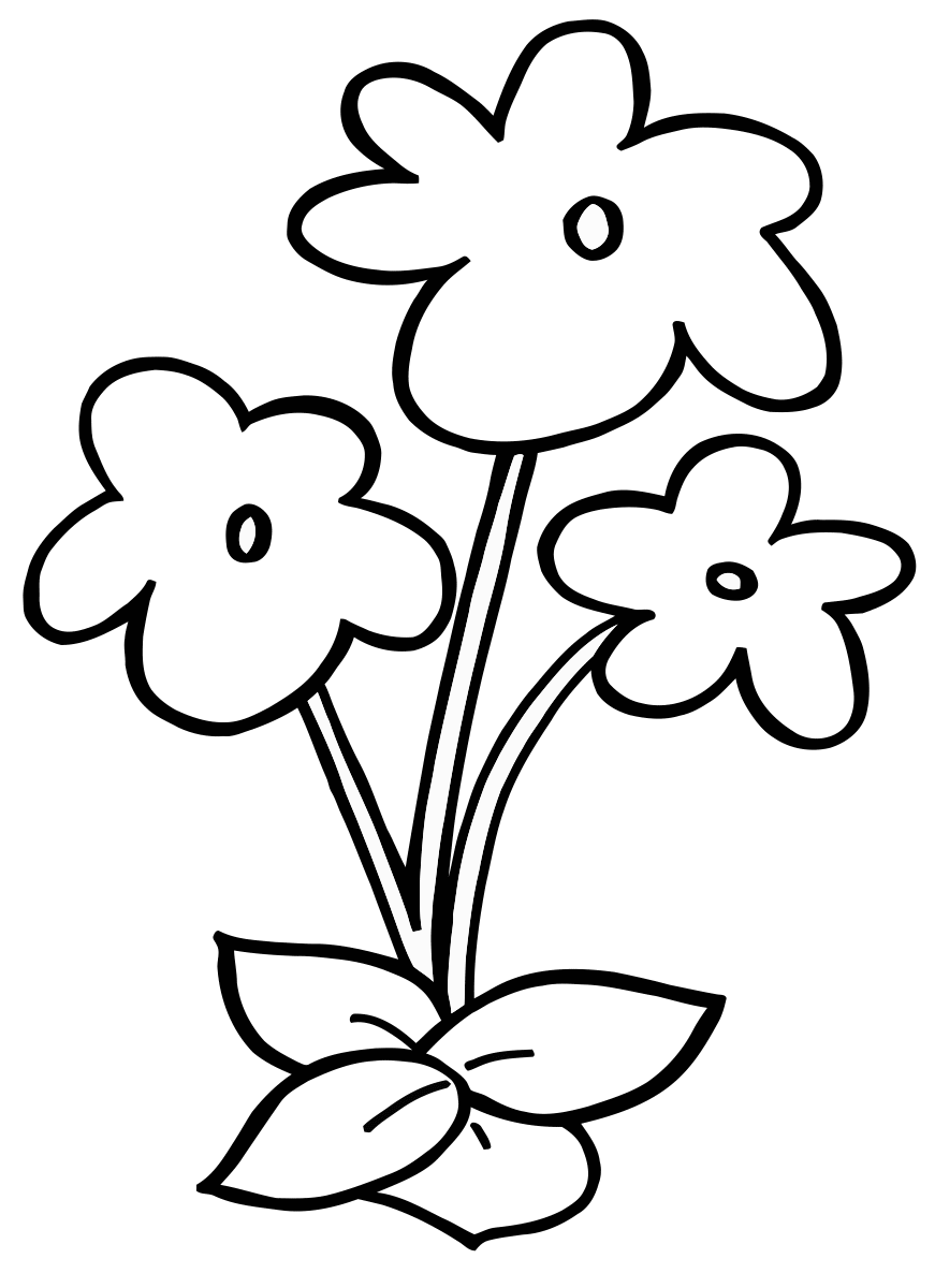Zeichnungen Mit Bleistift Blumen